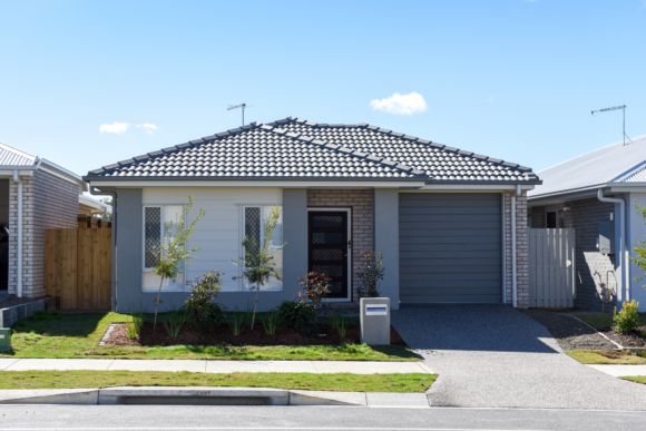 DEIDENT_P81_1649 Small